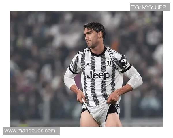 弗拉霍维奇：从新星崛起到足坛焦点的传奇旅程