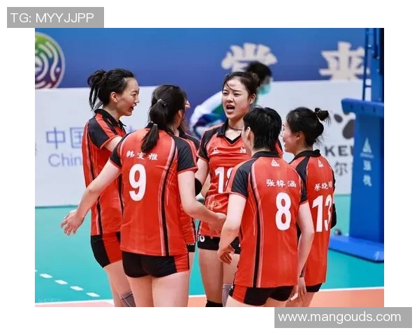 江苏女排对阵河南女排精彩比赛视频回顾与分析